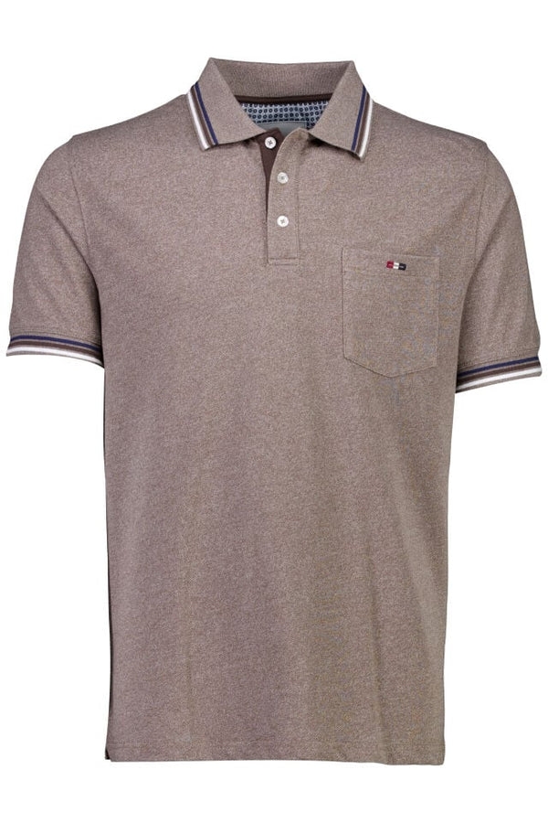 Bison Polobolur